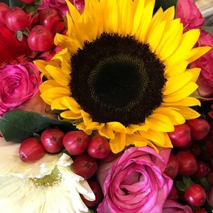 Meet your Posher, Cynthia